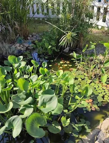 44 Gatti Grazioso Monolocale Appartement *