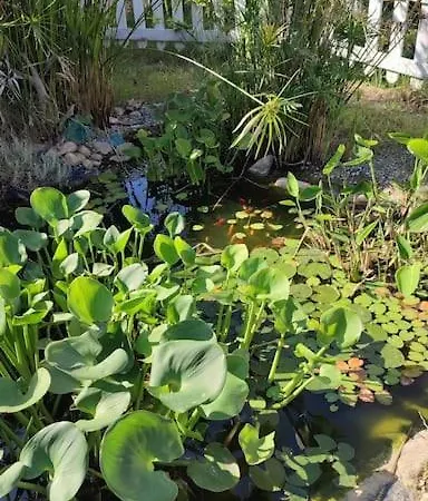 44 Gatti Grazioso Monolocale Appartement *